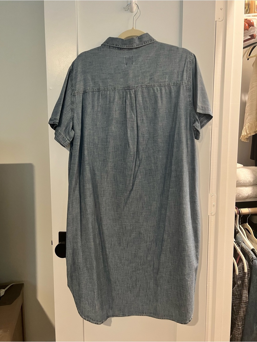 GAP Denim Shirt Dress - Blue - Picture 6 of 6